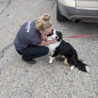 Lady kissing a dog